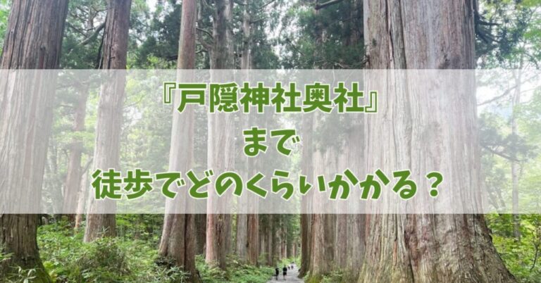 【戸隠神社 奥社】歩く時間は片道45分！大変だけど一度は訪れたいパワースポット | 開運たび