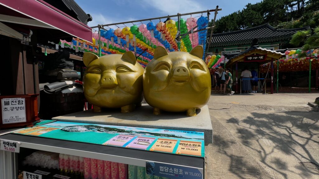 海東龍宮寺黄金の豚