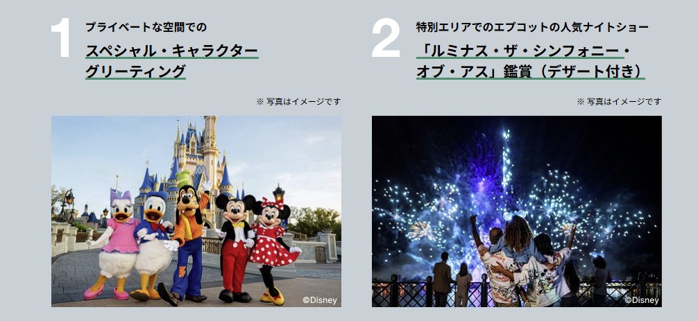 ZIPAIR特典１